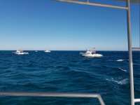 Great day of scuba diving in Key Largo with Rainbow Reef on fire coral cave tropical odyssey 2018 01 04 r5254 1
