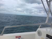 Great day of scuba diving in Key Largo with Rainbow Reef on french reef tropical odyssey 2018 01 20 r5323 1