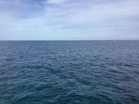 Great day of scuba diving in Key Largo with Rainbow Reef on hole in the wall tropical legend 2018 01 17 r5312 1