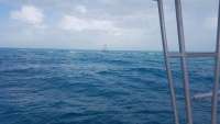 Great day of scuba diving in Key Largo with Rainbow Reef on hole in the wall tropical legend 2018 01 29 r5342 1