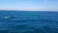 Great day of scuba diving in Key Largo with Rainbow Reef on hole in the wall tropical odyssey 2018 01 18 r5316 1