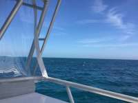 Great day of scuba diving in Key Largo with Rainbow Reef on molasses reef tropical odyssey 2018 01 15 r5308 1