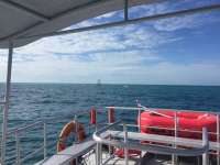Great day of scuba diving in Key Largo with Rainbow Reef on molasses reef tropical odyssey 2018 01 22 r5330 1