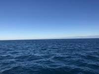 Great day of scuba diving in Key Largo with Rainbow Reef on molasses reef tropical voyager 2018 01 05 r5260 1