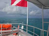 Great day of scuba diving in Key Largo with Rainbow Reef on north star tropical legend 2018 01 10 r5282 1