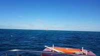 Great day of scuba diving in Key Largo with Rainbow Reef on north star tropical legend 2018 01 11 r5283 1