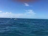 Great day of scuba diving in Key Largo with Rainbow Reef on north star tropical odyssey 2018 01 22 r5327 1