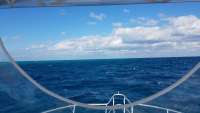 Great day of scuba diving in Key Largo with Rainbow Reef on spanish anchor tropical legend 2018 01 06 r5264 1