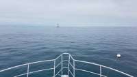 Great day of scuba diving in Key Largo with Rainbow Reef on spanish anchor tropical odyssey 2018 01 02 r5245 1