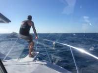 Great day of scuba diving in Key Largo with Rainbow Reef on spiegel grove tropical explorer 2018 01 13 r5296 1