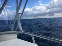 Great day of scuba diving in Key Largo with Rainbow Reef on spiegel grove tropical odyssey 2018 01 06 r5262 1