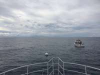 Great day of scuba diving in Key Largo with Rainbow Reef on spiegel grove tropical odyssey 2018 01 09 r5271 1