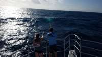 Great day of scuba diving in Key Largo with Rainbow Reef on spiegel grove tropical odyssey 2018 01 12 r5289 1