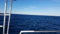 Great day of scuba diving in Key Largo with Rainbow Reef on spiegel grove tropical odyssey 2018 01 18 r5313 1