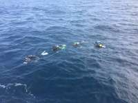 Great day of scuba diving in Key Largo with Rainbow Reef on spiegel grove tropical odyssey 2018 01 20 r5320 1