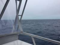 Great day of scuba diving in Key Largo with Rainbow Reef on uscgc bibb tropical odyssey 2018 01 03 r5246 1