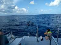 Great day of scuba diving in Key Largo with Rainbow Reef on banana patch tropical adventure 2018 07 04 r6414 1