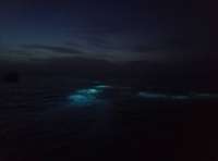 Great day of scuba diving in Key Largo with Rainbow Reef on benwood wreck tropical adventure 2018 07 07 r6457 1