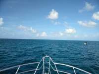 Great day of scuba diving in Key Largo with Rainbow Reef on benwood wreck tropical adventure 2018 07 21 r6595 1
