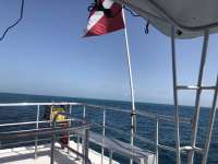 Great day of scuba diving in Key Largo with Rainbow Reef on benwood wreck tropical destiny 2018 07 09 r6468 1