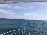 Great day of scuba diving in Key Largo with Rainbow Reef on benwood wreck tropical odyssey 2018 07 21 r6603 1