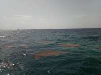 Great day of scuba diving in Key Largo with Rainbow Reef on benwood wreck tropical voyager 2018 07 07 r6448 1