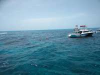 Great day of scuba diving in Key Largo with Rainbow Reef on christ statue tropical adventure 2018 07 06 r6437 1