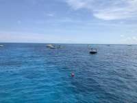 Great day of scuba diving in Key Largo with Rainbow Reef on christ statue tropical destiny 2018 07 04 r6417 1