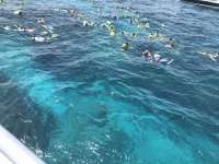 Great day of scuba diving in Key Largo with Rainbow Reef on christ statue tropical destiny 2018 07 07 r6451 1