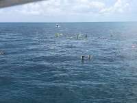 Great day of scuba diving in Key Largo with Rainbow Reef on christ statue tropical destiny 2018 07 22 r6615 1