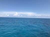 Great day of scuba diving in Key Largo with Rainbow Reef on christ statue tropical serenity 2018 07 03 r6405 1