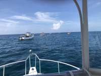 Great day of scuba diving in Key Largo with Rainbow Reef on christmastree cave santana 2018 07 28 r6676 1