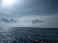 Great day of scuba diving in Key Largo with Rainbow Reef on christmastree cave tropical adventure 2018 07 17 r6544 1