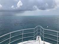 Great day of scuba diving in Key Largo with Rainbow Reef on christmastree cave tropical odyssey 2018 07 28 r6681 1