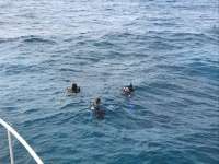 Great day of scuba diving in Key Largo with Rainbow Reef on christmastree cave tropical serenity 2018 07 06 r6434 1