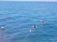 Great day of scuba diving in Key Largo with Rainbow Reef on christmastree cave tropical serenity 2018 07 25 r6645 1