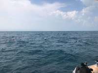 Great day of scuba diving in Key Largo with Rainbow Reef on christmastree cave tropical serenity 2018 07 27 r6660 1