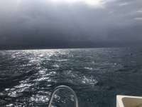 Great day of scuba diving in Key Largo with Rainbow Reef on christmastree cave tropical serenity 2018 07 29 r6688 1