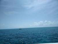 Great day of scuba diving in Key Largo with Rainbow Reef on city of washington tropical adventure 2018 07 17 r6552 1