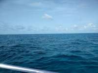 Great day of scuba diving in Key Largo with Rainbow Reef on city of washington tropical explorer 2018 07 05 r6421 1