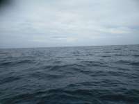 Great day of scuba diving in Key Largo with Rainbow Reef on conch wall tropical explorer 2018 07 27 r6670 1