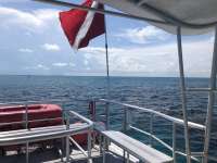 Great day of scuba diving in Key Largo with Rainbow Reef on double north tropical odyssey 2018 07 03 r6406 1