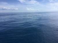Great day of scuba diving in Key Largo with Rainbow Reef on drift french tropical odyssey 2018 07 16 r6536 1