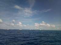 Great day of scuba diving in Key Largo with Rainbow Reef on drift molasses tropical explorer 2018 07 04 r6410 1
