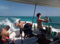 Great day of scuba diving in Key Largo with Rainbow Reef on drift molasses tropical explorer 2018 07 17 r6554 1