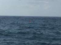 Great day of scuba diving in Key Largo with Rainbow Reef on drift molasses tropical explorer 2018 07 28 r6673 1