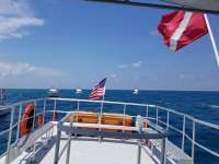 Great day of scuba diving in Key Largo with Rainbow Reef on eagle ray alley santana 2018 07 24 r6625 1