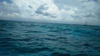 Great day of scuba diving in Key Largo with Rainbow Reef on eagle ray alley tropical adventure 2018 07 30 r6697 1