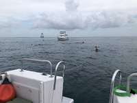 Great day of scuba diving in Key Largo with Rainbow Reef on eagle ray alley tropical explorer 2018 07 20 r6582 1