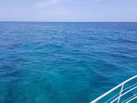Great day of scuba diving in Key Largo with Rainbow Reef on eagle ray alley tropical odyssey 2018 07 17 r6549 1